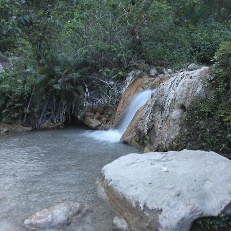 Perfect Stayz Premium Forest Valley Near Waterfall Rishīkesh Εξωτερικό φωτογραφία