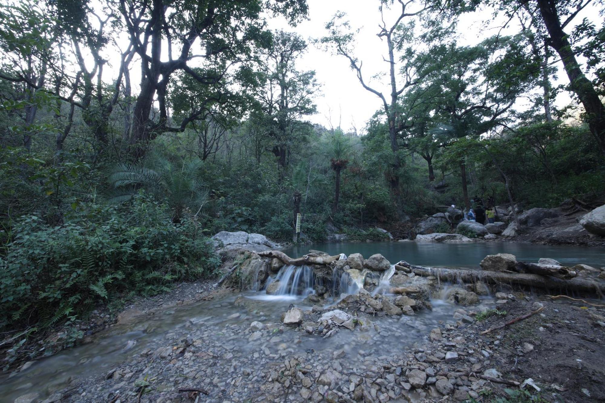 Perfect Stayz Premium Forest Valley Near Waterfall Rishīkesh Εξωτερικό φωτογραφία